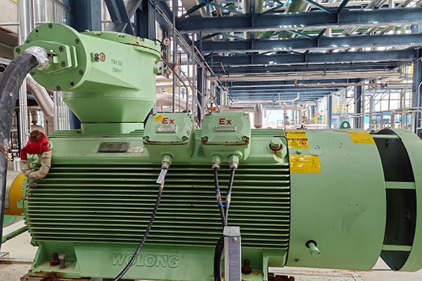 防爆电机安装.jpg